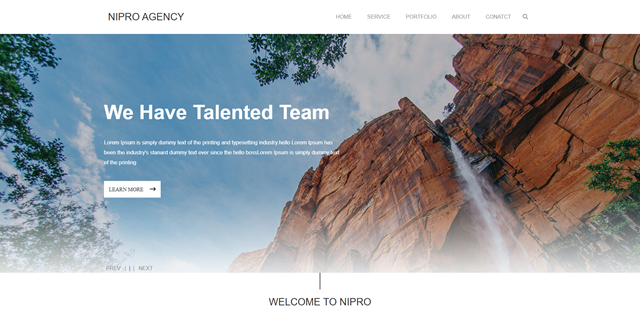 Nipro Agency